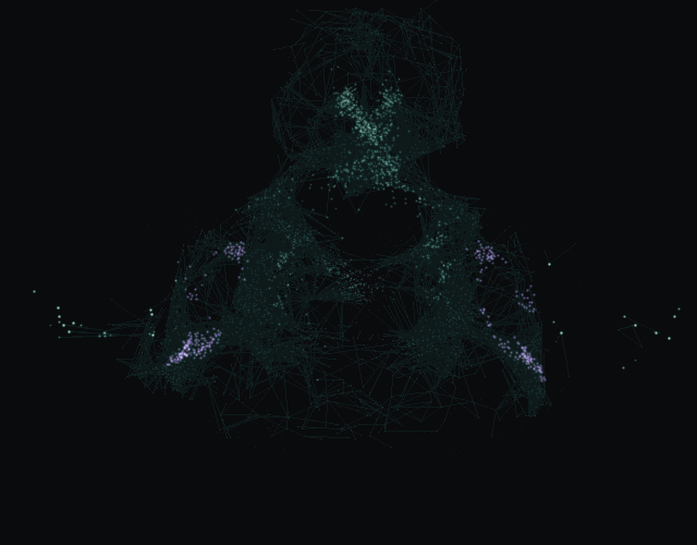 Activation from day 43's firmest decision, Public data breach: discovery, spreading through the male fruit fly nervous system. Activity driven mainly by the Threat channel is violet; the neurons of the chosen outcome, Rejected, are amber.