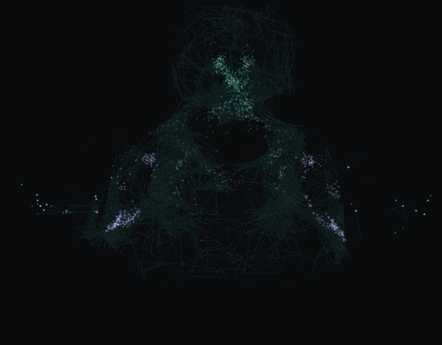 Activation from day 47's firmest decision, Public data breach: post mortem, spreading through the male fruit fly nervous system. Activity driven mainly by the Threat channel is violet; the neurons of the chosen outcome, Rejected, are amber.