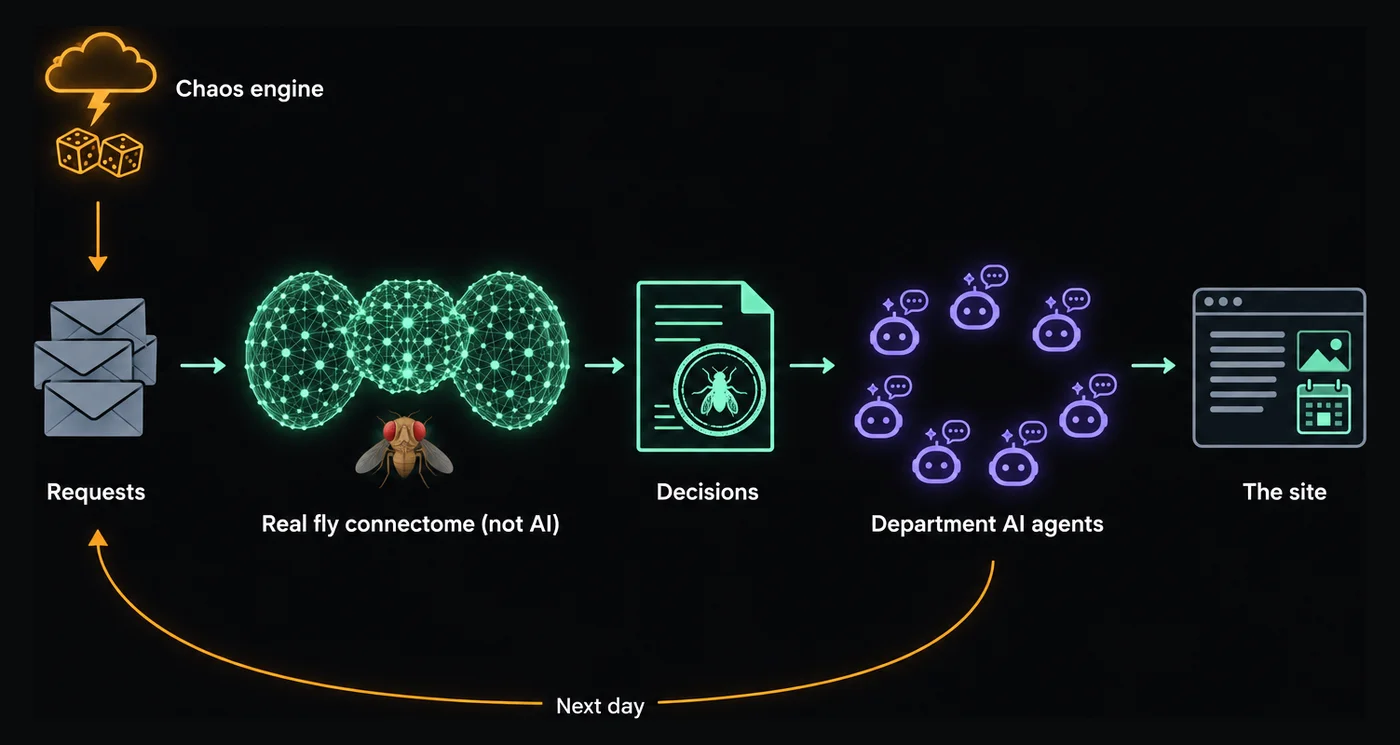 How a day is made: requests reach the fly from two places, the chaos engine's random events above and, below, a loop labelled Next day carrying what the departments asked for the day before. Left to right: the requests go into the real fruit fly connectome, which is not AI; it turns each one into a decision; department AI agents react to the decisions; and the site publishes the day.